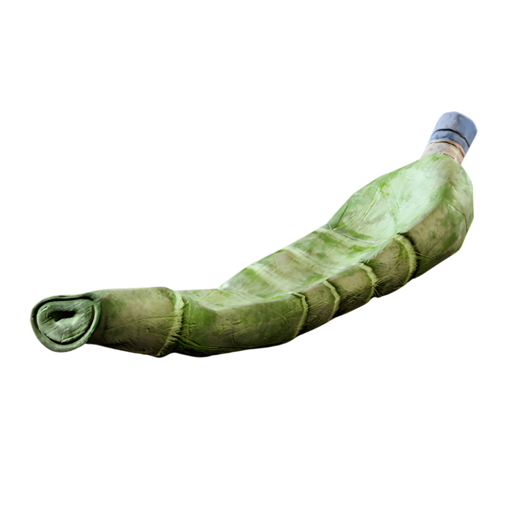 Crumpled Plastic Bottle